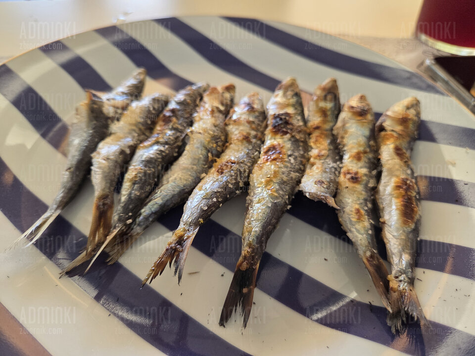 🇪🇦❤️🇪🇦❤️ - Adminki