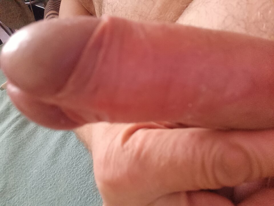 17529362925837035130519834332191.jpg - ardas1