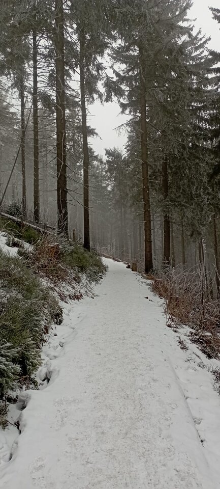 1000001352.jpg - Rzeszowloczek