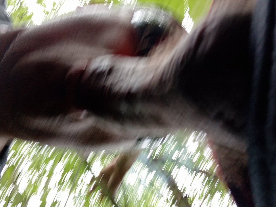 1000080097.jpg - lickemydick