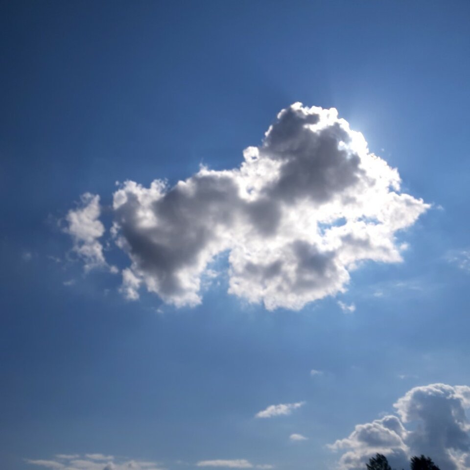 20250719_155143.jpg - Ali70plus