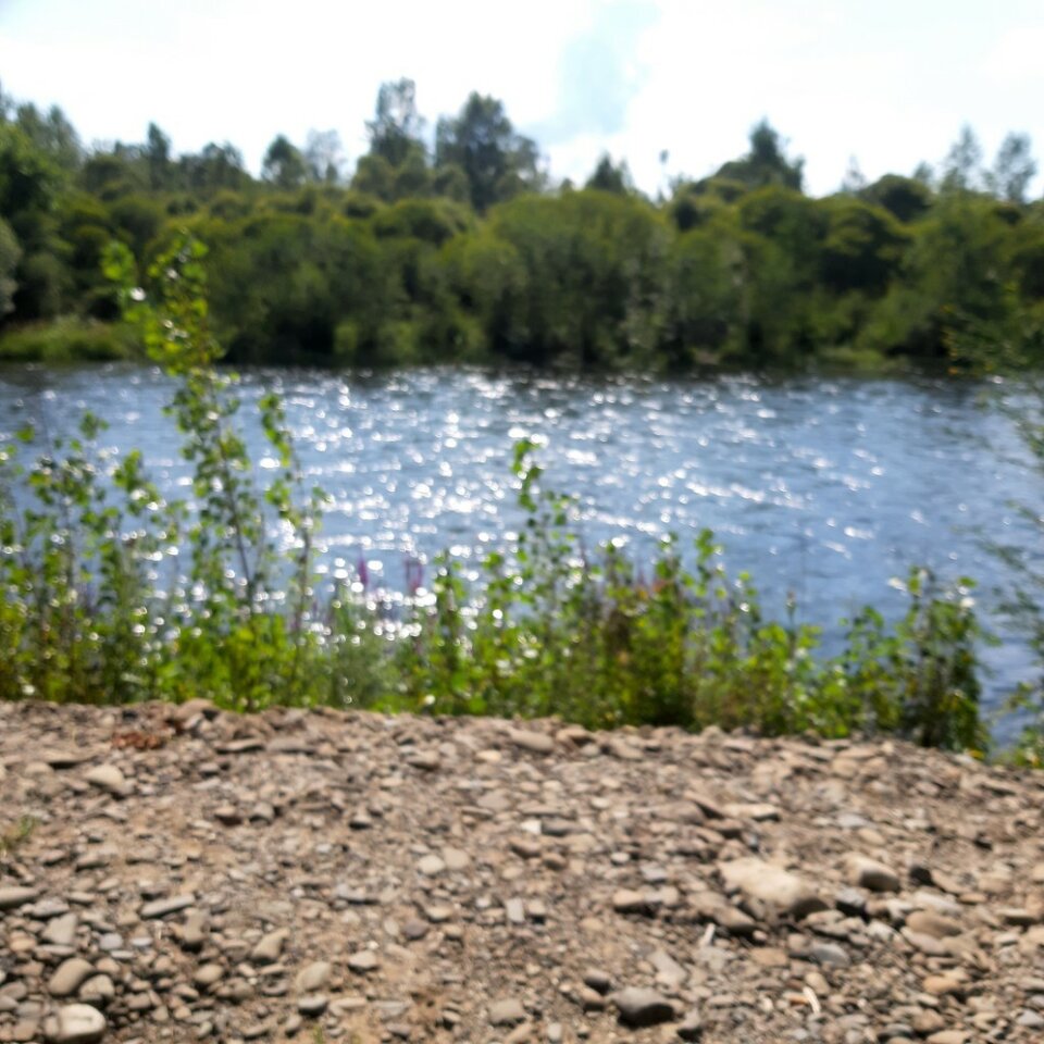 20250719_154833.jpg - Ali70plus