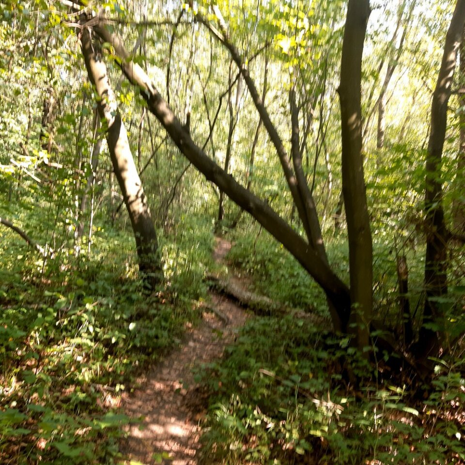 20250719_154351.jpg - Ali70plus