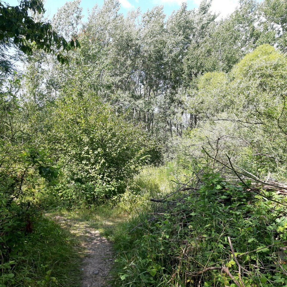 20250719_154004.jpg - Ali70plus