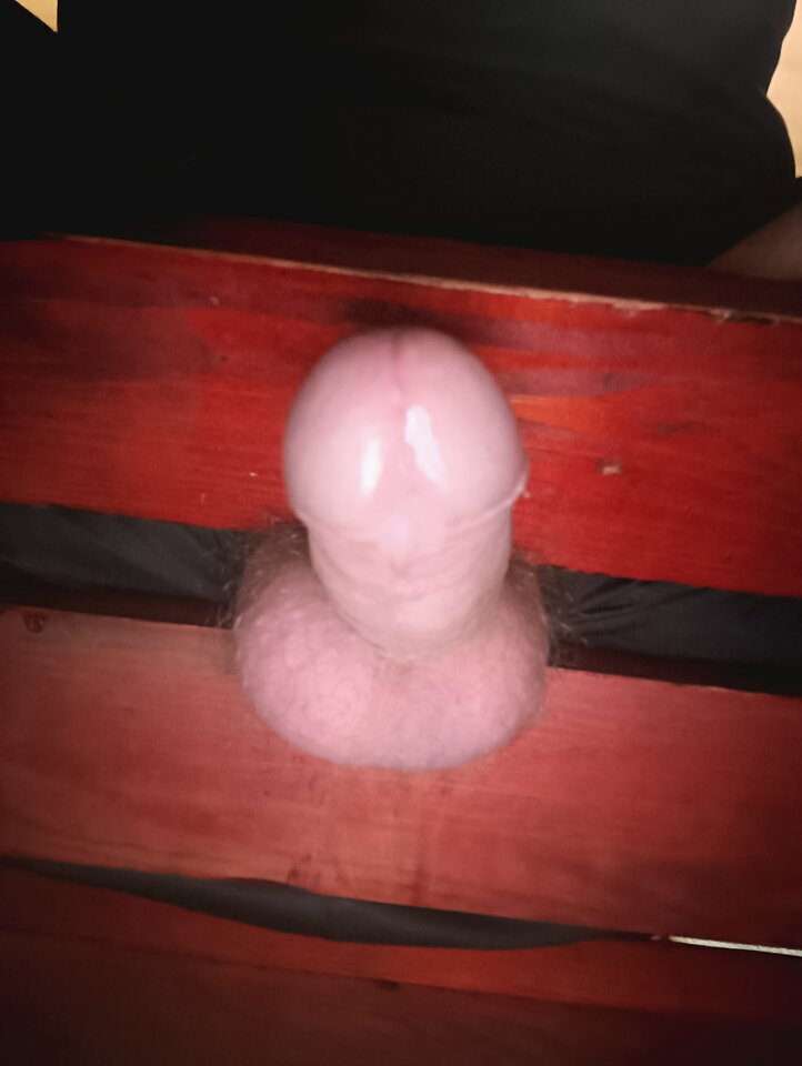 17529789691655045793048161855514.jpg - fa7cowyn