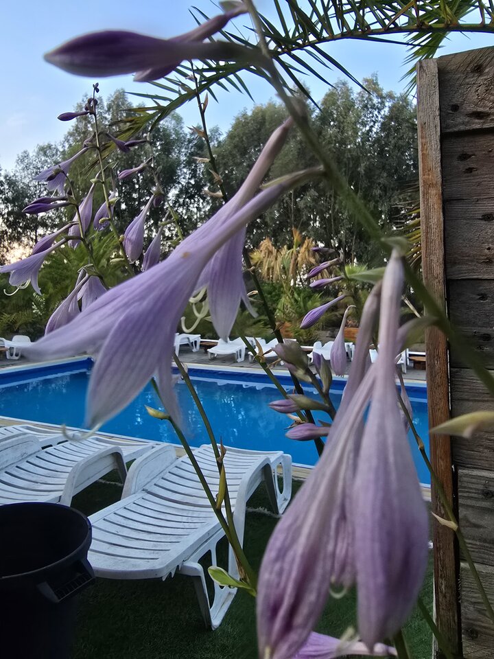 🍍🌞 - aspecialcouple