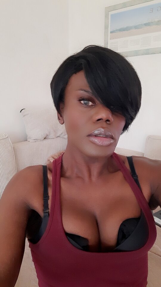 Snapchat-230913350.jpg - OniJegoTrans