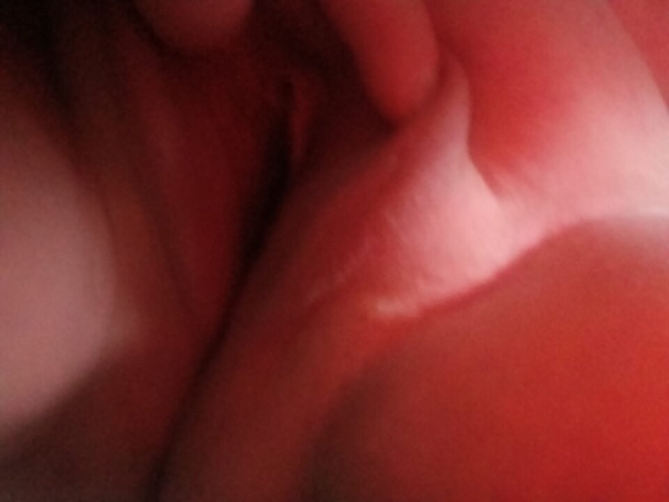 1000003831.jpg - malz69bi