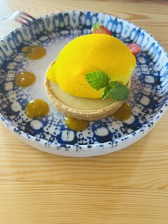 IMG_1215.jpeg