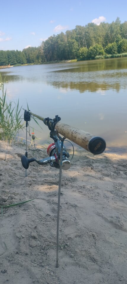 1000009501.jpg - TransKitty