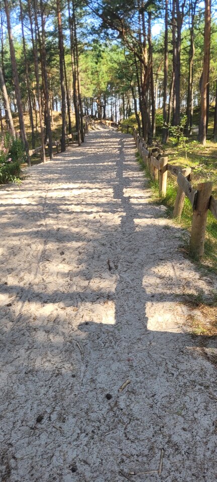 20250720_090821.jpg - DV8__UK