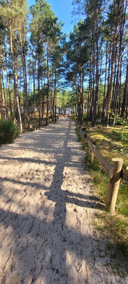 20250720_090829.jpg - DV8__UK