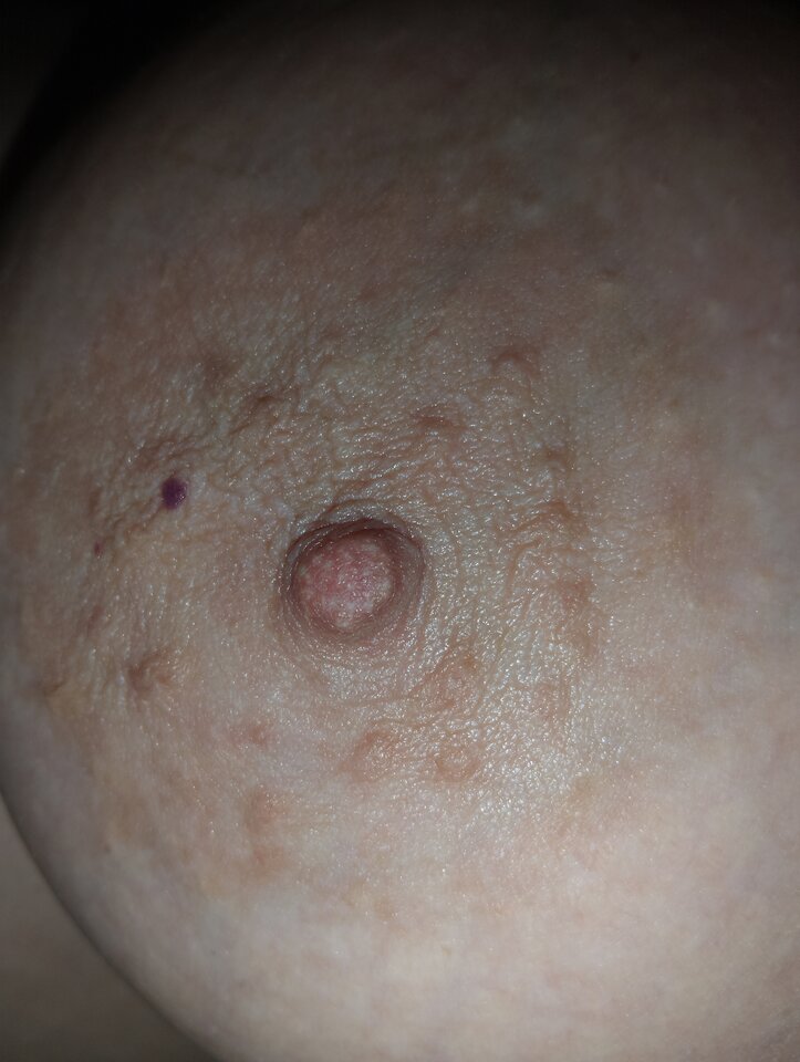 17530458029097017177555377720306.jpg - BeataRobert8883