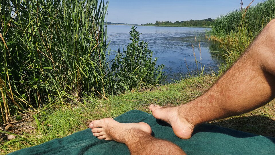 1000055108.jpg - toxict