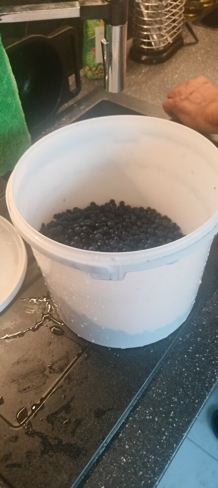 1000009504.jpg - TransKitty