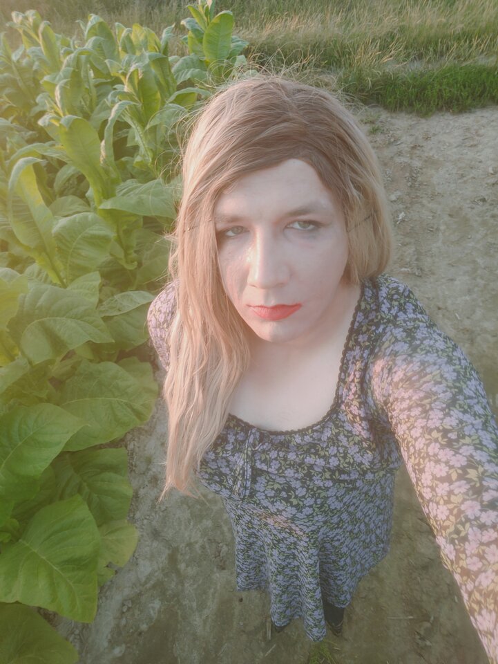 IMG20250720200504.jpg - PATII20