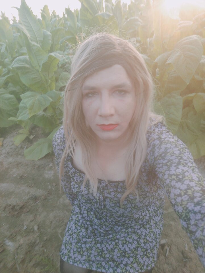 IMG20250720200521.jpg - PATII20