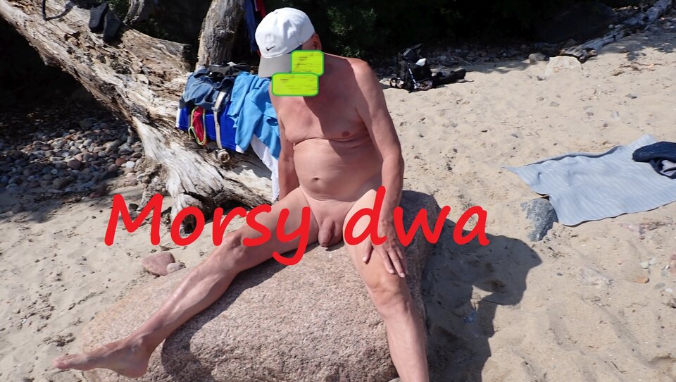 Plażowanie. - Morsy_dwa