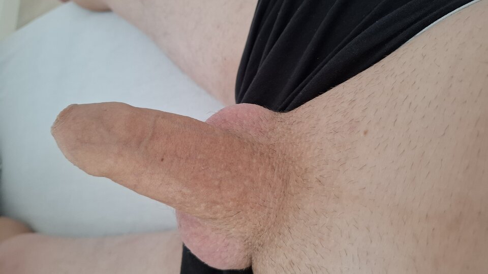 1000018070.jpg - ulegla_trans_suka