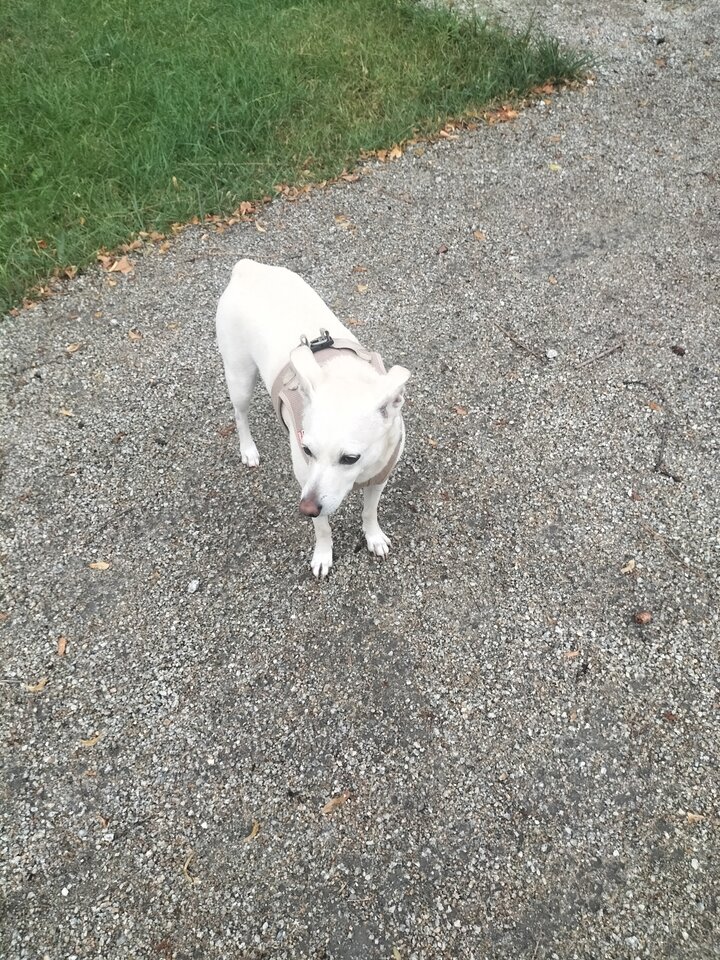 IMG20250717193051.jpg - Mileneusz