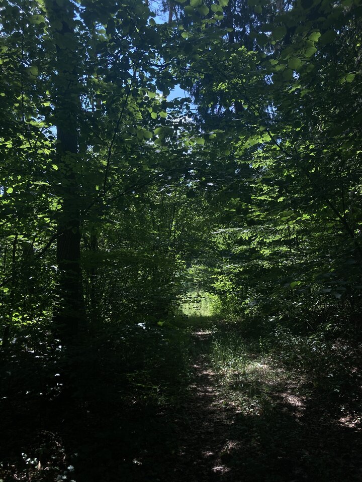 IMG_4739.jpeg - Damapik78