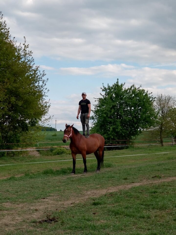 1000001650.jpg - damian12345123