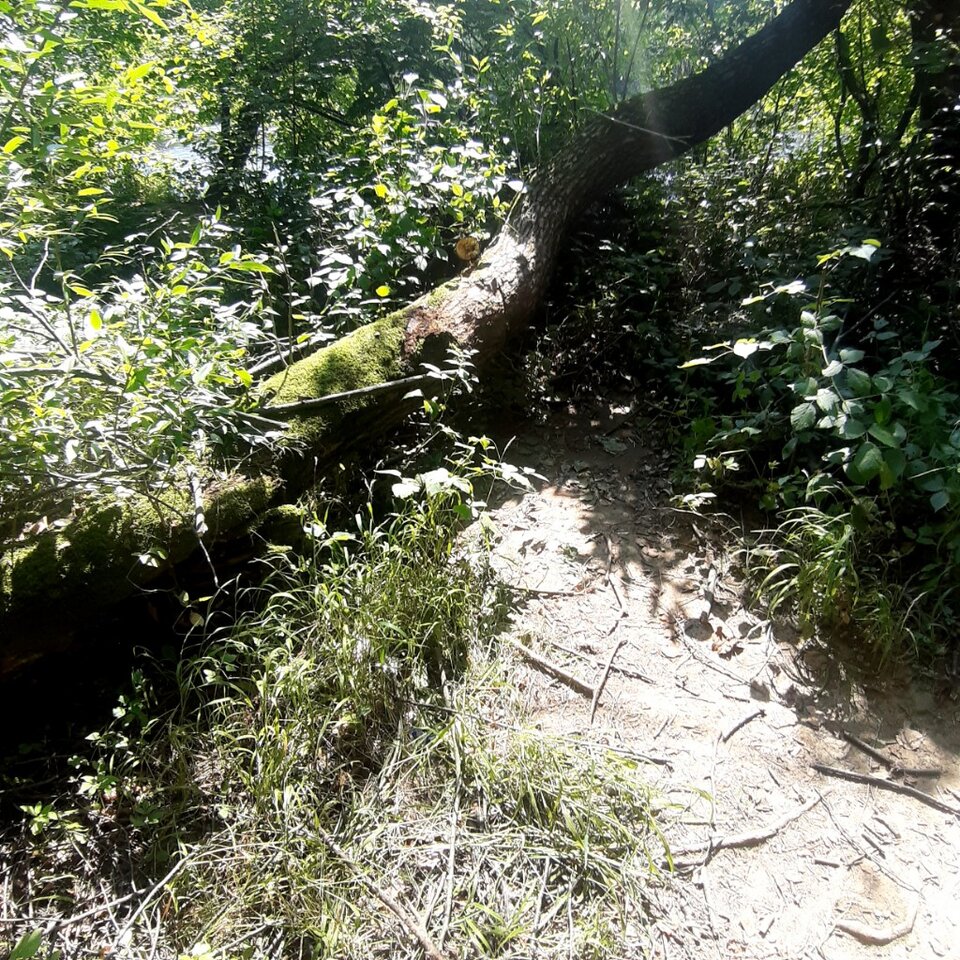 20250721_150156.jpg - Ali70plus