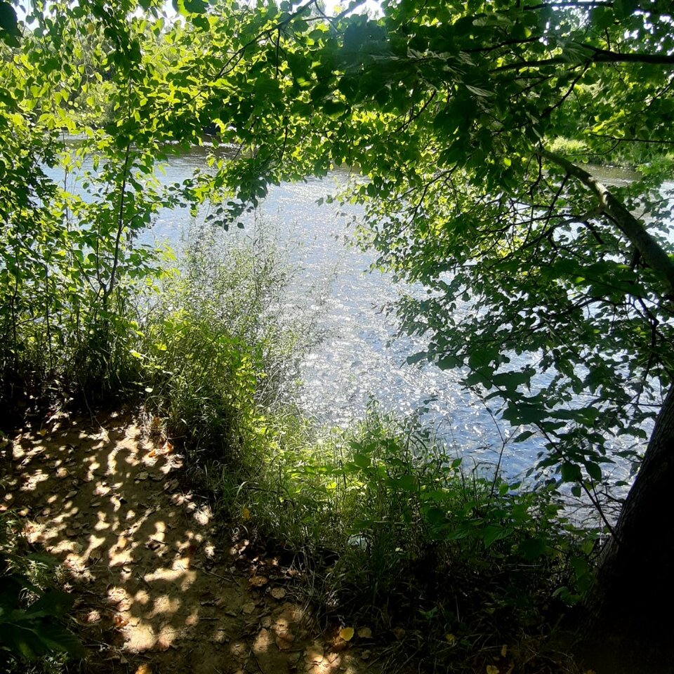 20250721_150110.jpg - Ali70plus