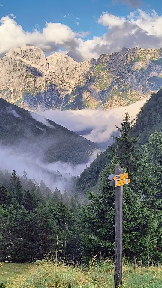Alpy 🥰 - Pitulinscy