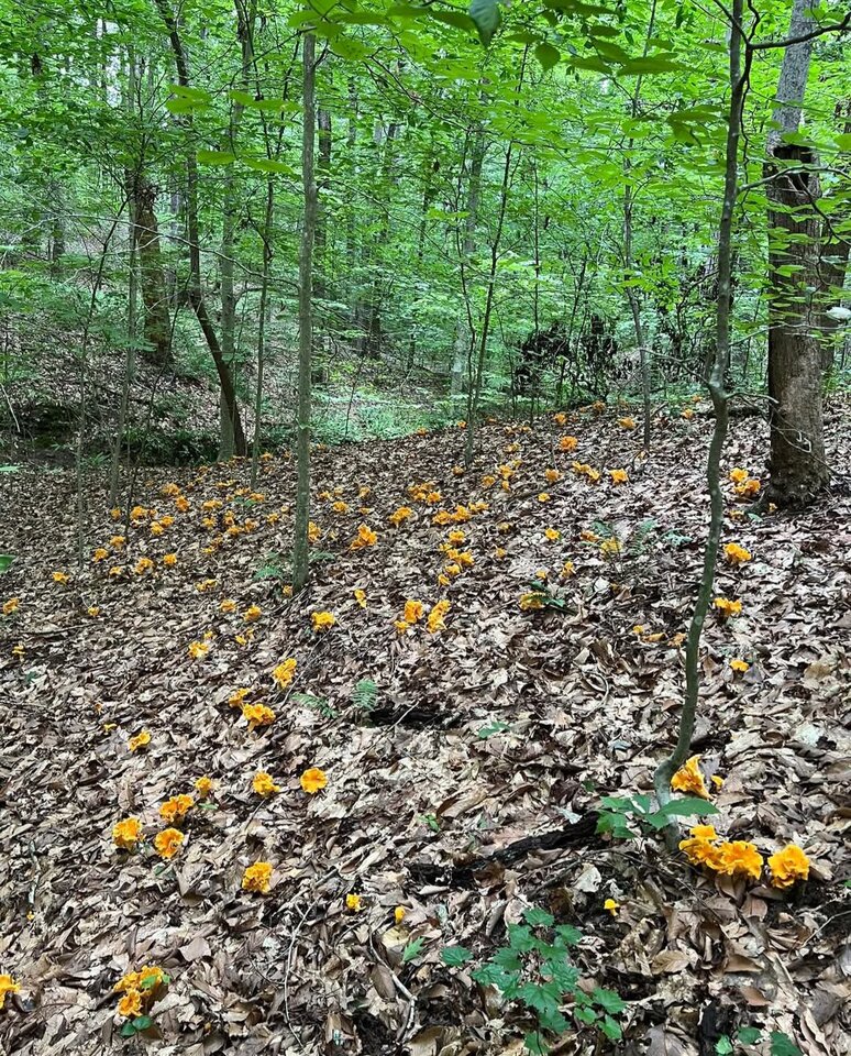 1000009271.jpg - reserva1