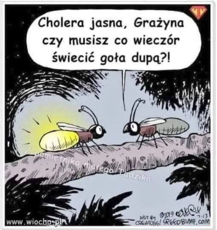 img_2_1741690235077.jpg - Hard_Rock_Cafe