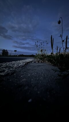 IMG_4643.jpeg