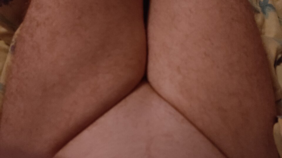 1000046110.jpg - tygrysekl