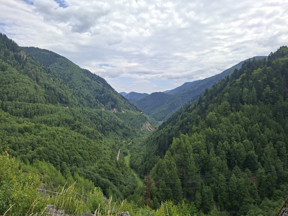 1000006056.jpg - daro18