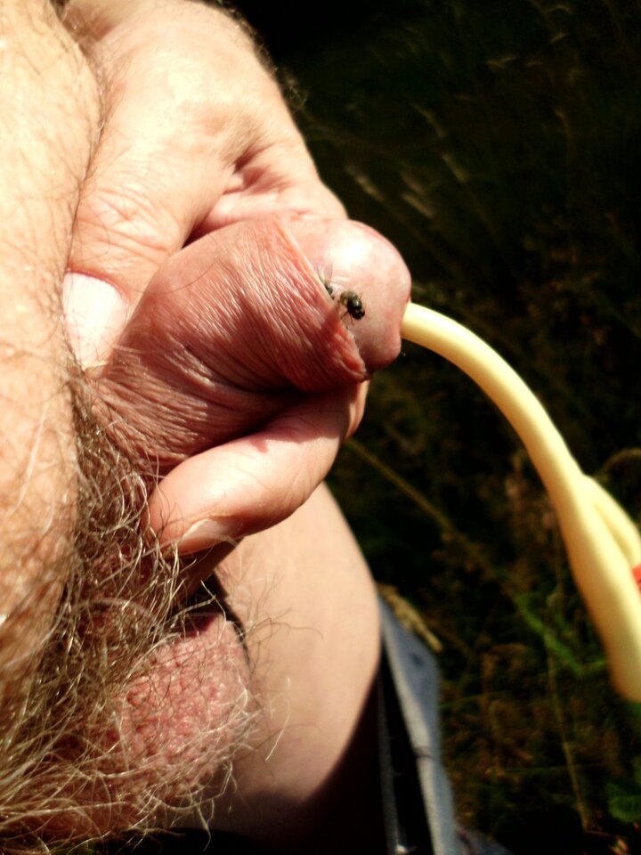 IMG_0080.JPG - kodomo23