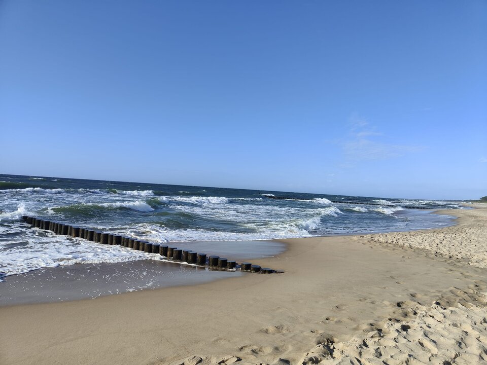 IMG-20250627-WA0010.jpg - harryraider