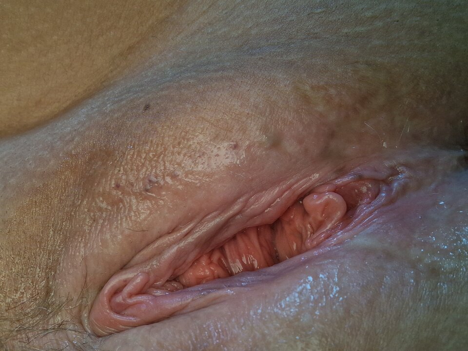 1000016155.jpg - Wyzwolonaparka