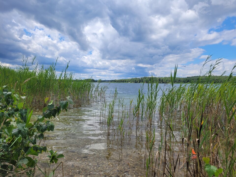 20250723_121118.jpg - Marcin_grzybowice