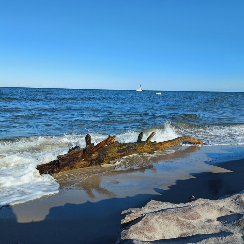 20250720_172151.jpg - Skorpion750