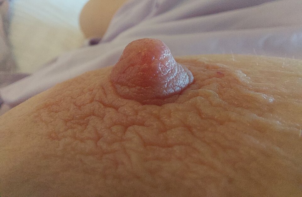 1000046214.jpg - Wredotaa