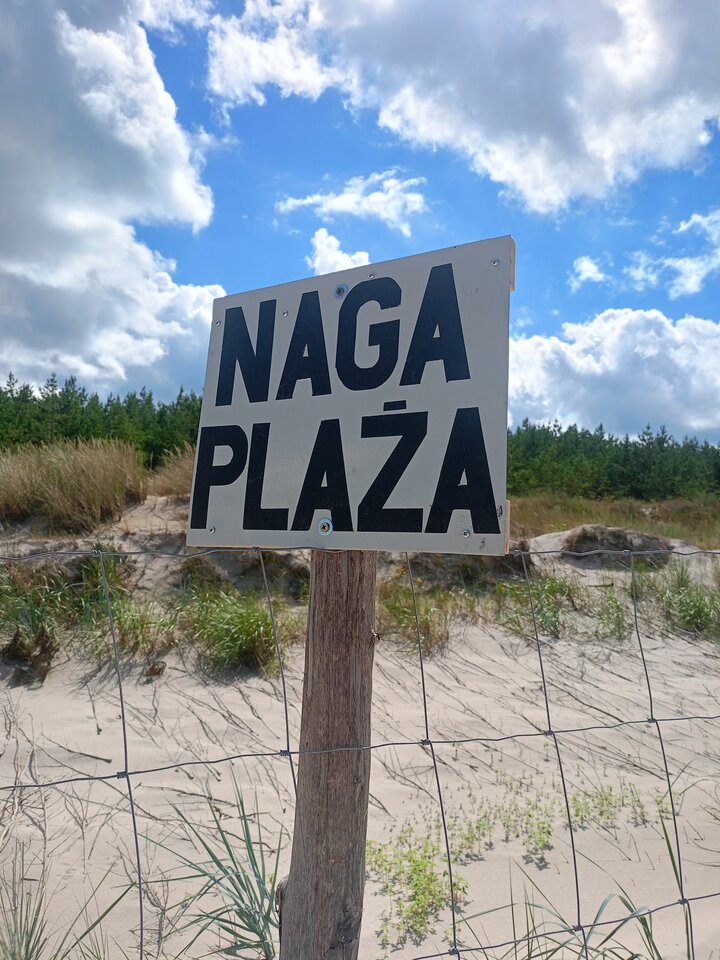 1000017541.jpg - Tezet2023