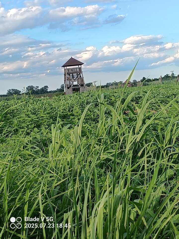 IMG_20250723_184520_432.jpg - napalony2324