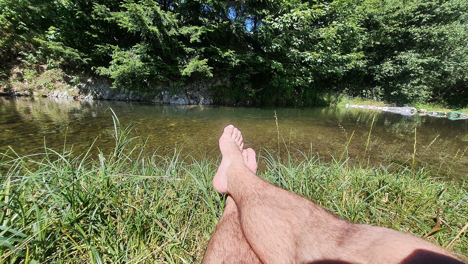 1000055199.jpg - toxict