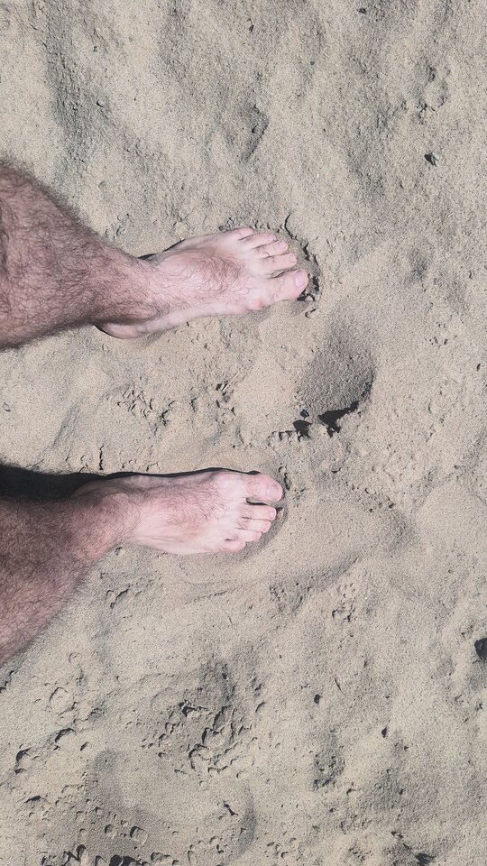 1000055219.jpg - toxict