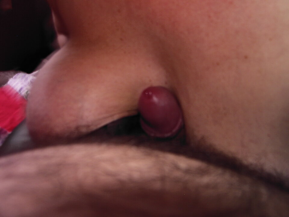 PIC01155.JPG - stojo