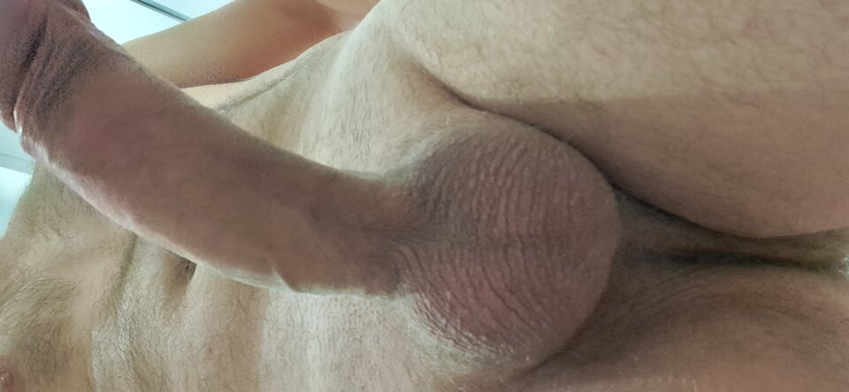 1000028798.jpg - kootas