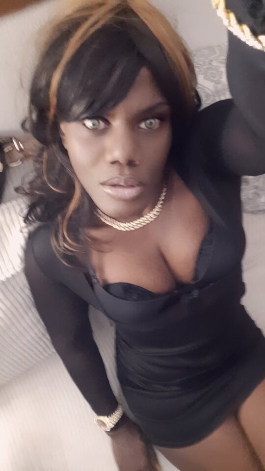 Snapchat-1083070319.jpg - OniJegoTrans