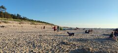 IMG_20250724_195843.jpg