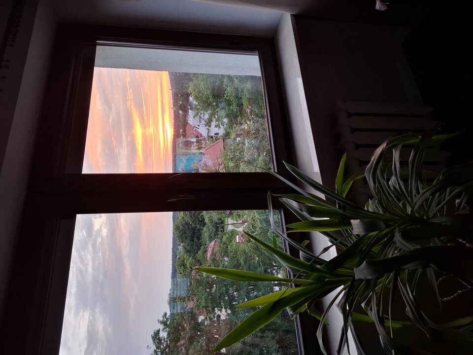 1000005785.jpg - 2205JOGI