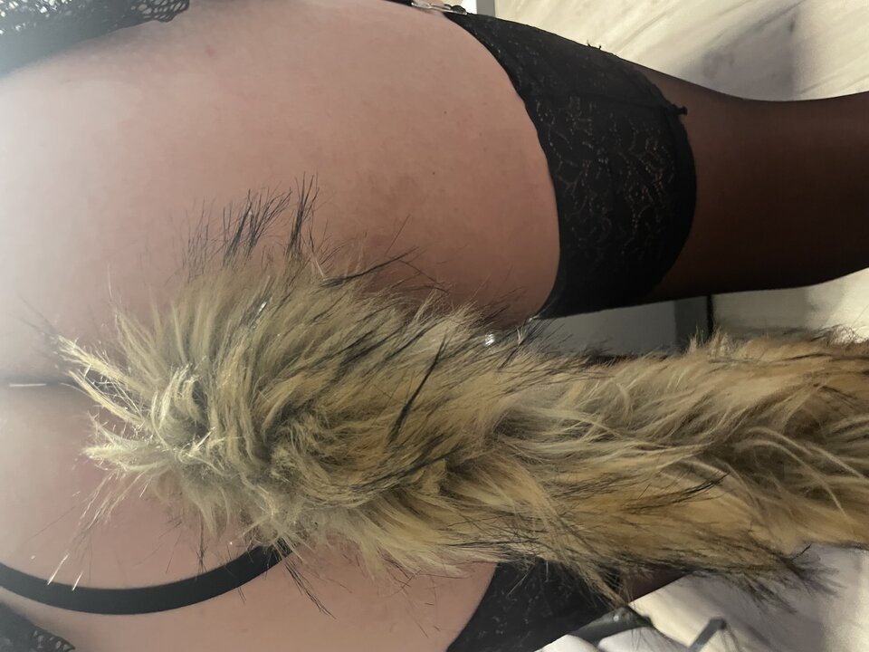 IMG_6036.jpeg - SzukajacyWrarzen2000